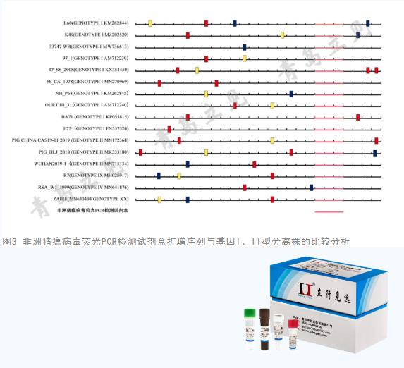 要闻：基因I型非洲猪瘟病毒入侵我国，青岛立见助力精准诊断